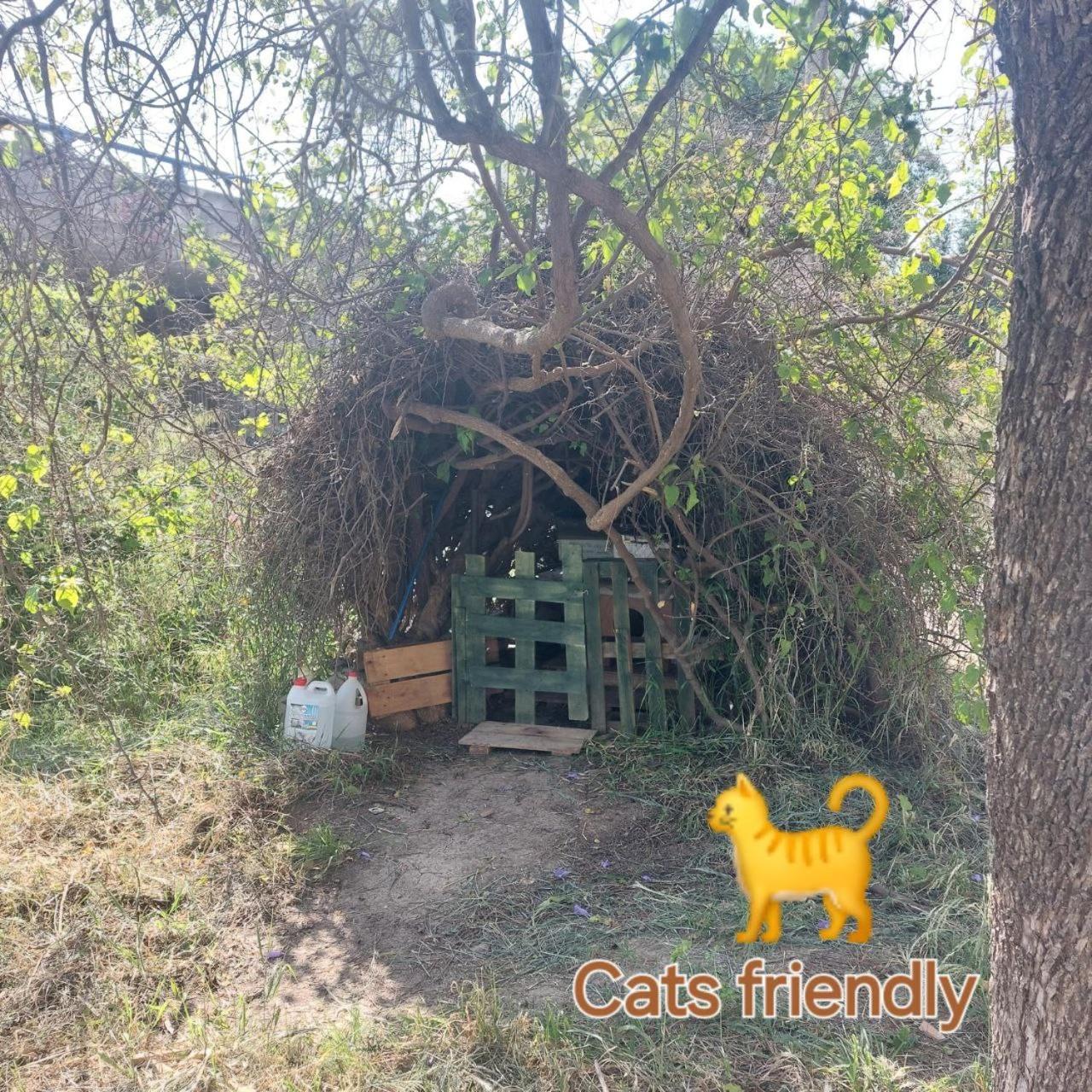 Homestay Door Camas